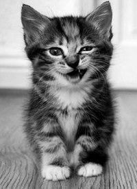 Елена Марченко