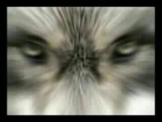 Алексей Евдокимов