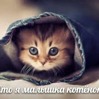 Дима Закарьян