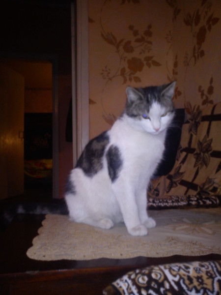 Татьяна Мостовая