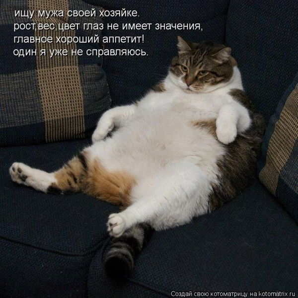 Наташа Наташа