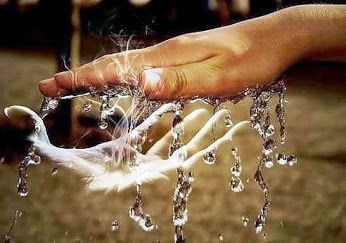 Биржевой Владимир