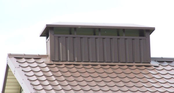 Виктор Синицин