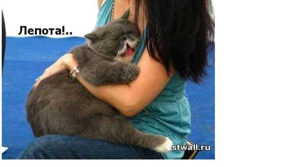 Екатерина Мельникова