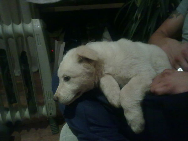 Светлана Стегниенко