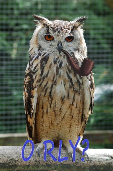 Даниил Леонидов