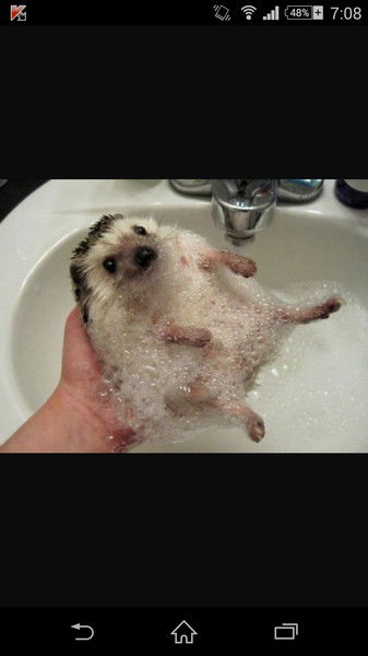 Роберт Фролов