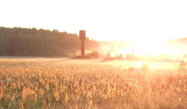 Нагорное Хозяйство