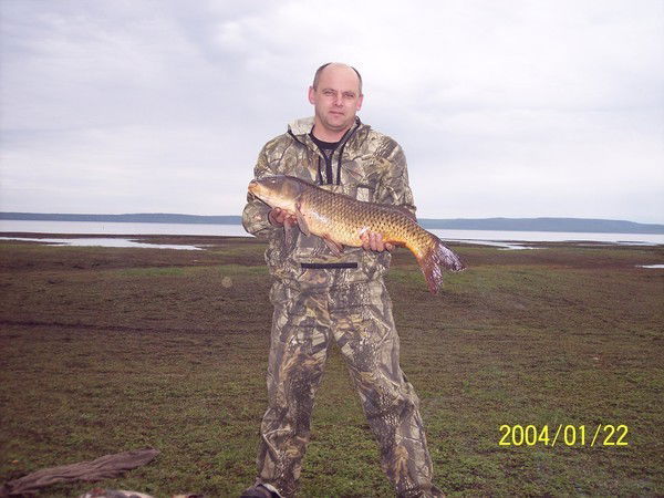 Олег Ермолаев