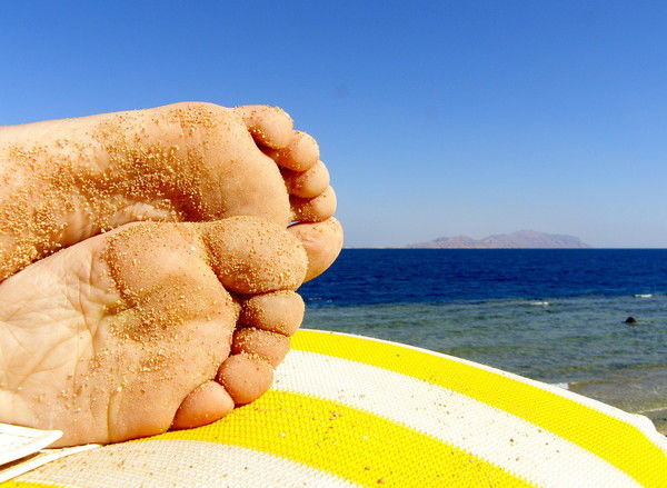 Светлана Губенко