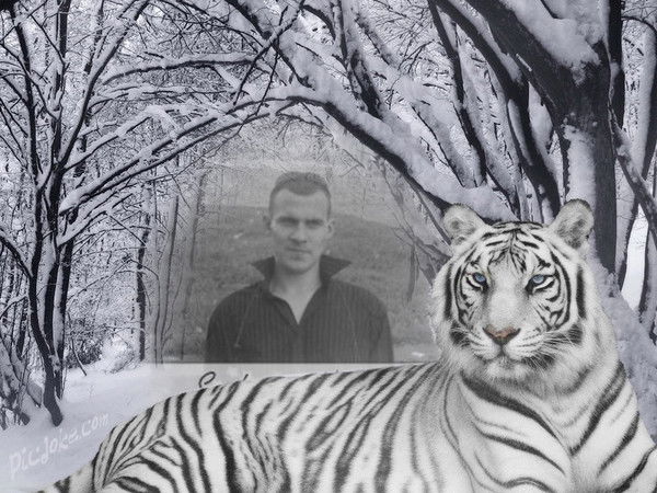 Александр Кириченко