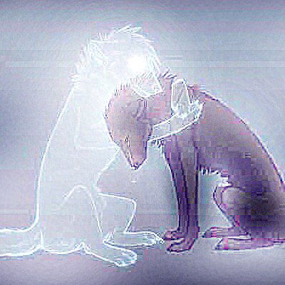 Анечка Мельник