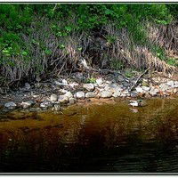 Татьяна Рыкова