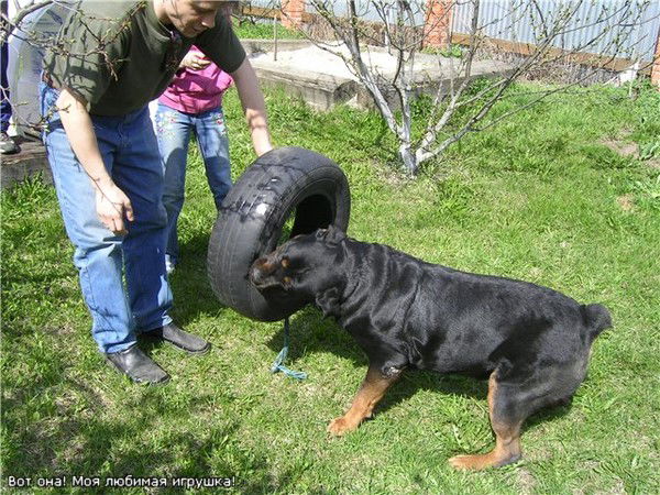 Сергей Сорокин