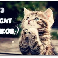 Лина Старкина