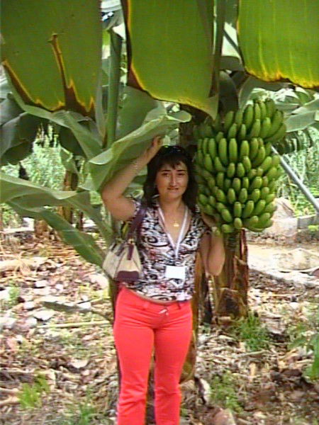 Динар Икласова