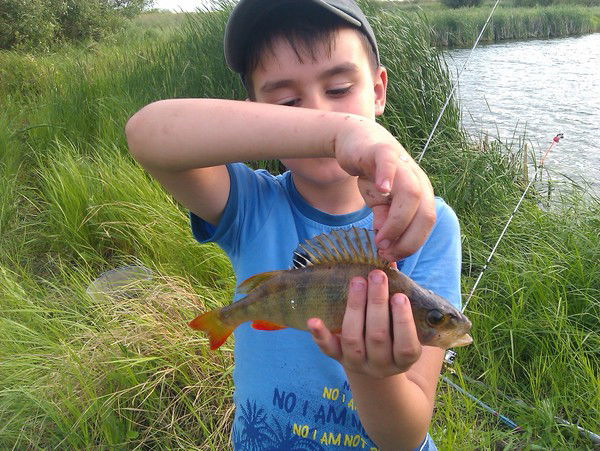 Виктор Тепляков