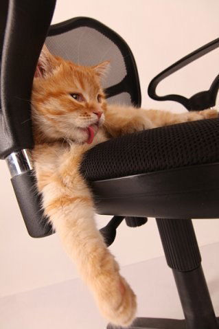 Ирина Горяева