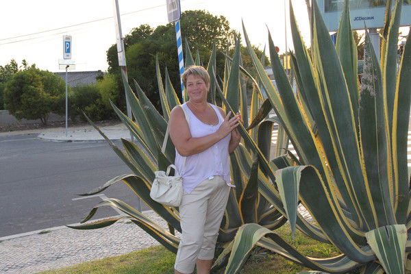 Татияна Танас