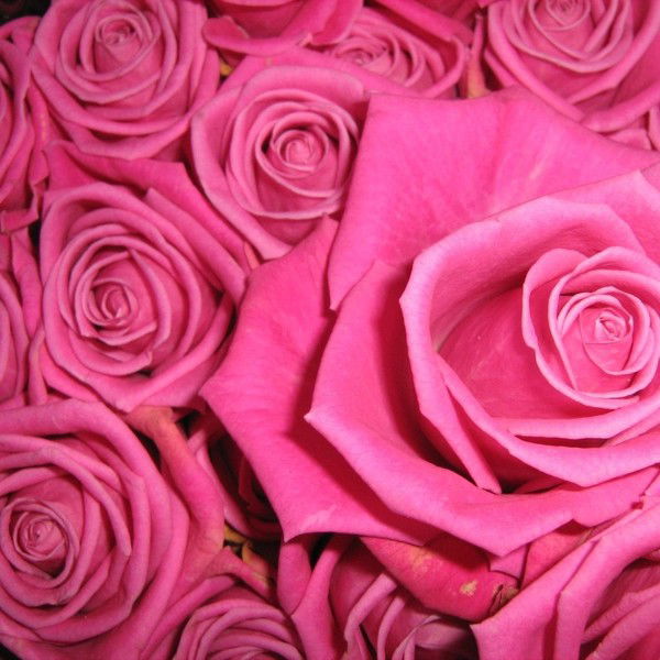 Дарья Иноземцева