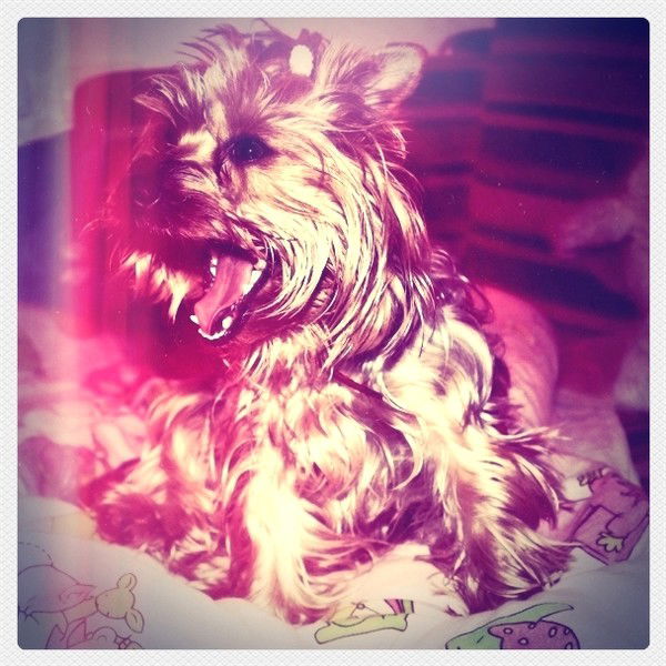 Ирина Вдовенко