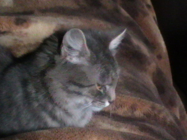 Егор Царьков