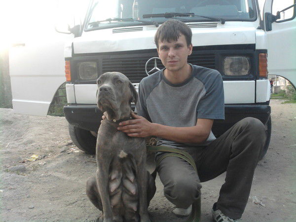 Андрей Волков