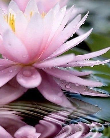 Людмила Лахтионова