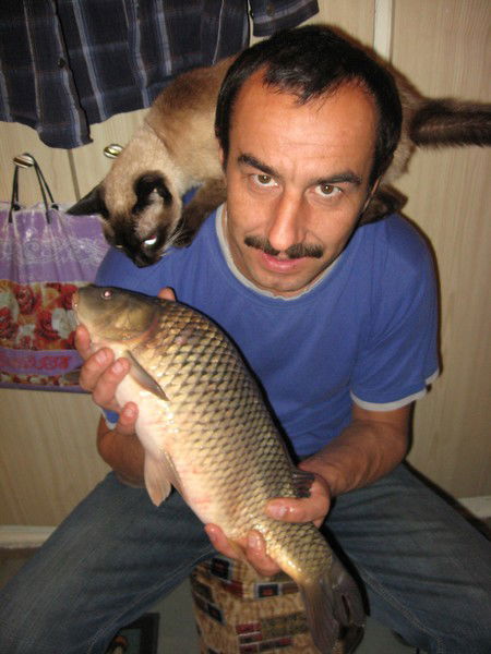 Неизвестно Неизвестно