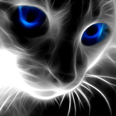 Кирилл Спиридонов