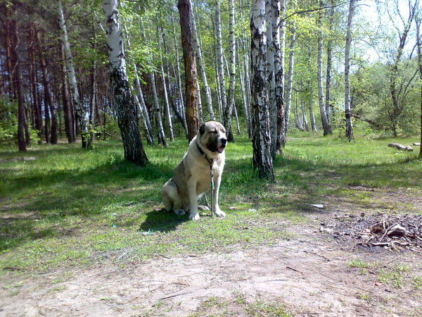 Надежда Пономаренко