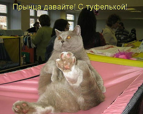 Катерина Медведева