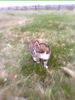 Наталья Балук