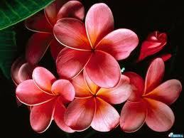 Гульбану Уксукбаева