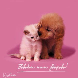 Екатерина Ekaterina