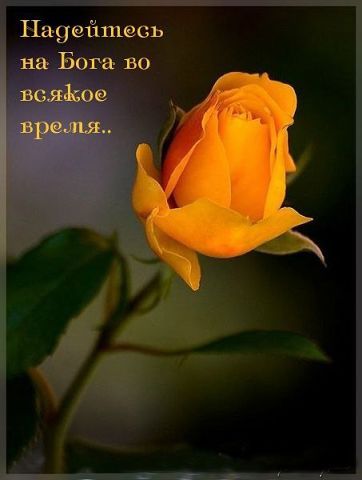 Вера Якунина