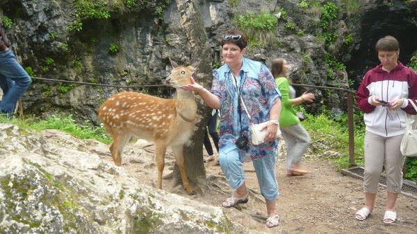 Марина Брюнеткина