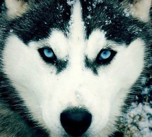 Ербулат Рамазанов