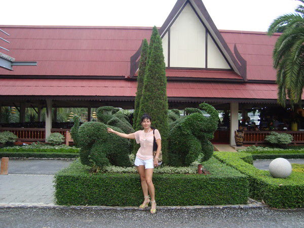 Елена Ведецкая