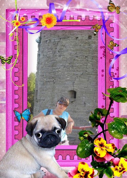 Неизвестно Неизвестно