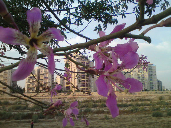 Ирина Шарипова