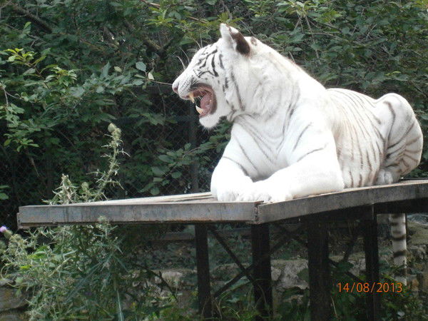 Валентина Теплая