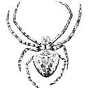 Сергей М