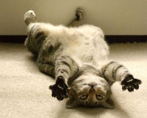 Наталья Журба