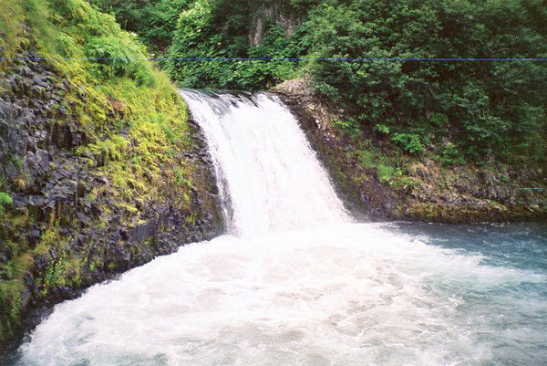 Алексей Ориненко