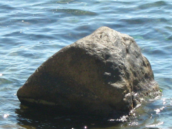 Василий Тарасов