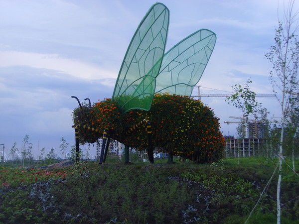 Ерлан Айсин