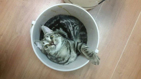 Вера Долгих