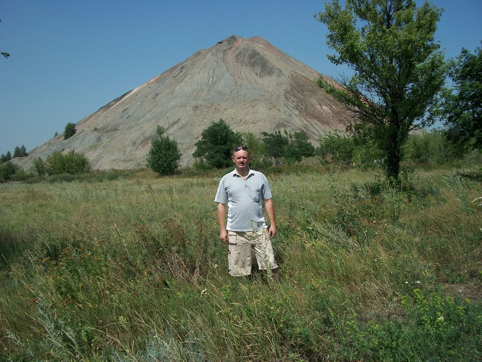 Александр Николаев