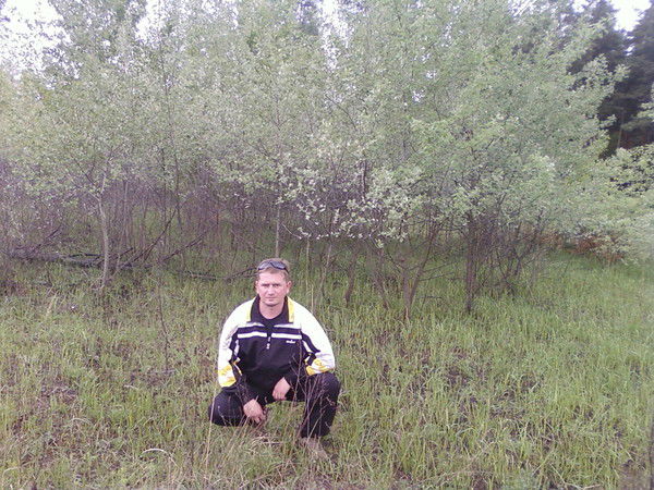 Михаил Чесноков